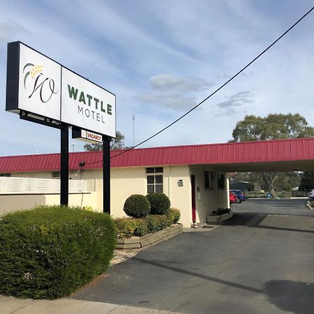 Wattle Motel Seymour Kültér fotó